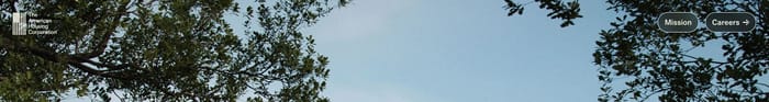 Header preview