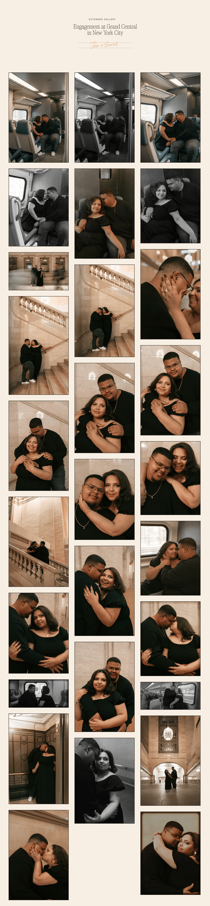 Image Gallery preview