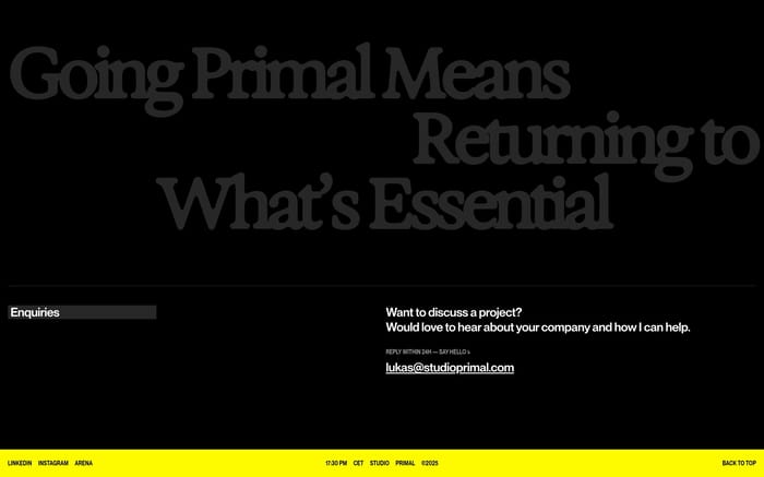 Studio Primal section preview