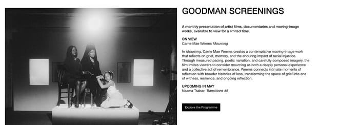 Goodman Gallery section preview