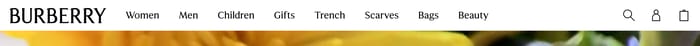 Header preview