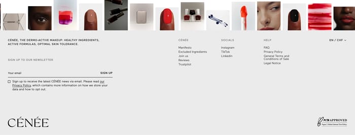 Footer preview