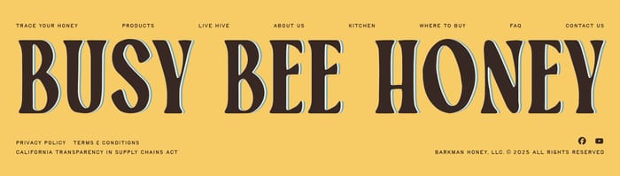 Footer preview