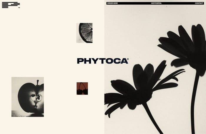 Phytoca section preview