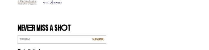 Newsletter preview
