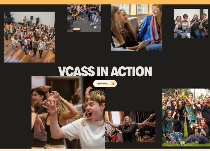 Vcass section preview