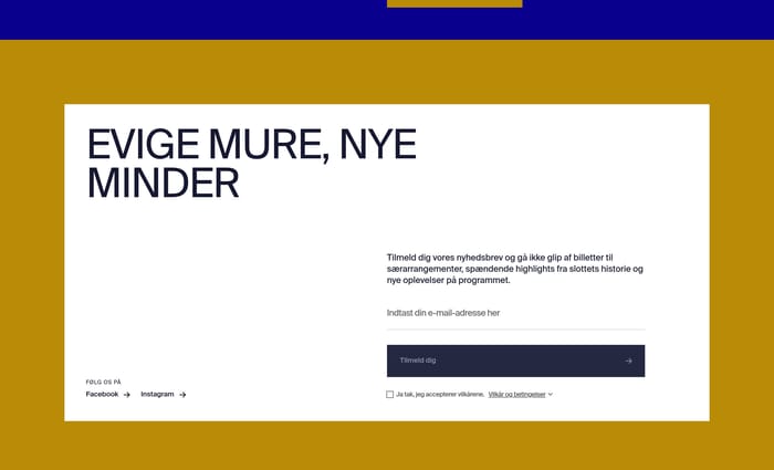Newsletter preview