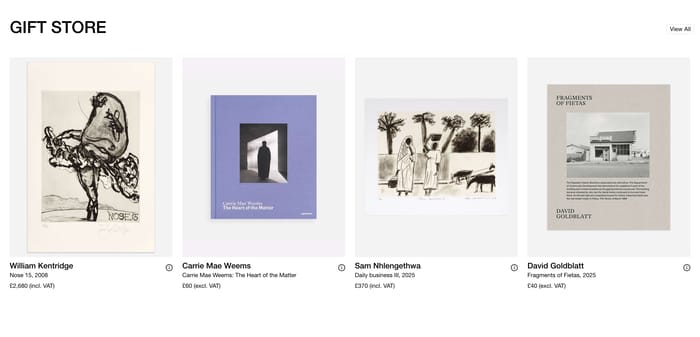 Goodman Gallery section preview