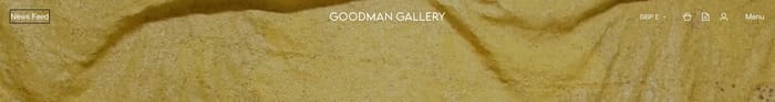 Goodman Gallery section preview