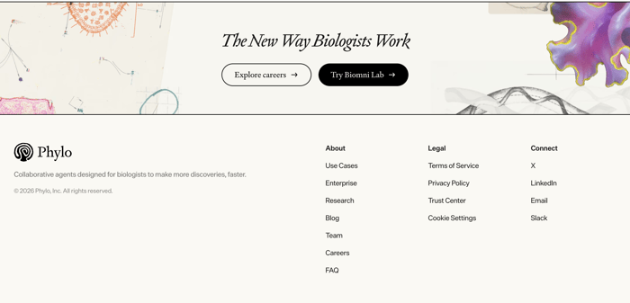 Footer preview