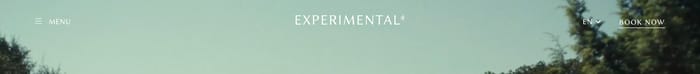 Experimental Group section preview