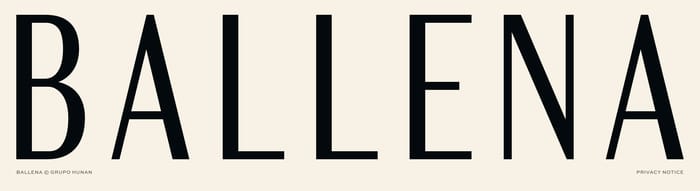 Ballena website footer with oversized BALLENA wordmark, Grupo Hunan copyright, and Privacy Notice on cream.
