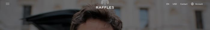 Raffles Hotels and Resorts section preview