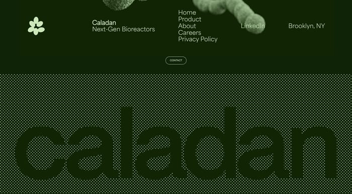 Footer preview