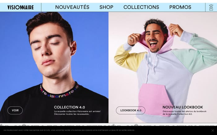 Visionnaire website preview