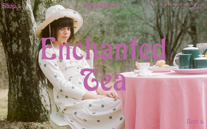 Samantha Pleet website preview