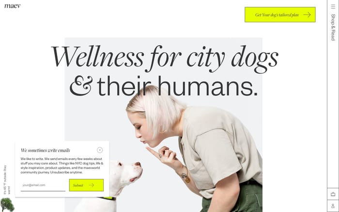 Maev website preview