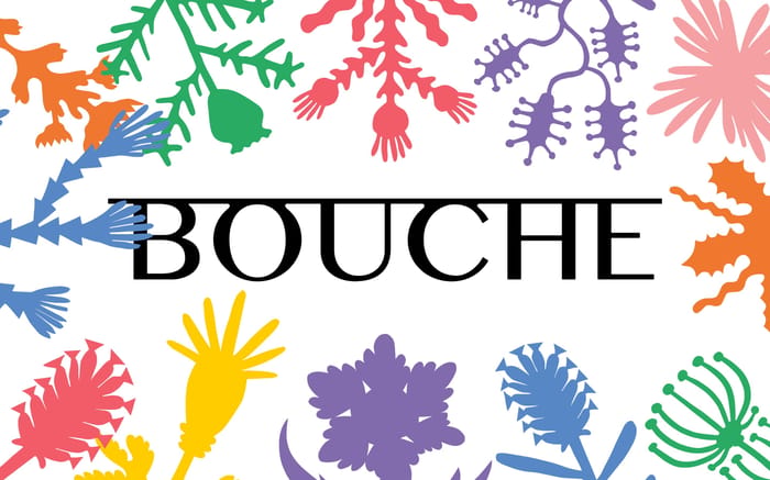 Bouche website preview