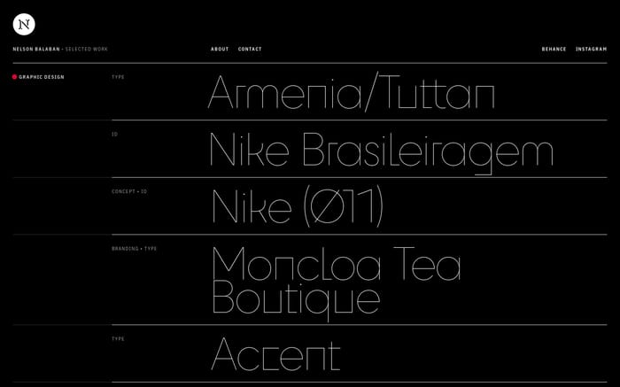 Nelson Balaban website preview
