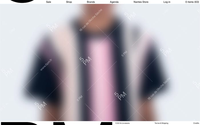 5 PM website preview