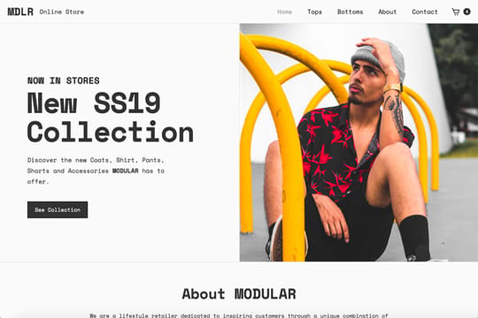 MODULAR — Online Store - Hello there again! Here's a little something I've been working on today. This is my first ecommerce and I really enjoyed it, and how easy it is. Did all this in one day and I will customize it a bit more in the following days. All the product pic are from (the amazing) products in Urban Outfitters. 

Hope you guys like it! Enjoy, and as per usual, feel free to clone it to use it in your projects.