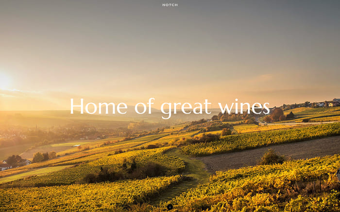 Notch - Winery Website Template - Notch is a stylish Ecommerce website template using smooth animations and dark color shades to create an atmospheric wine experience.