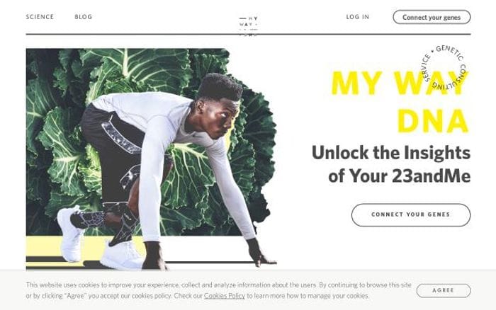 Mywaydna website preview