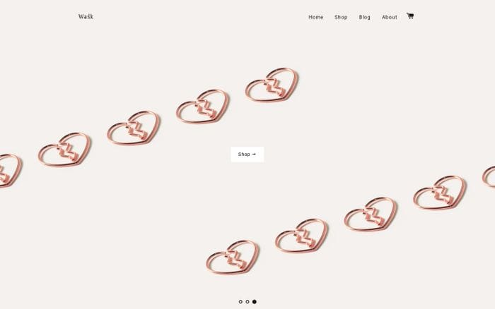 Wask website preview