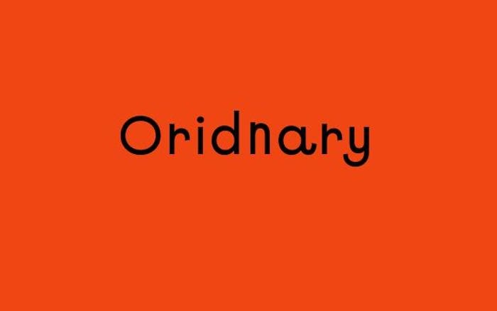 Oridnary website preview