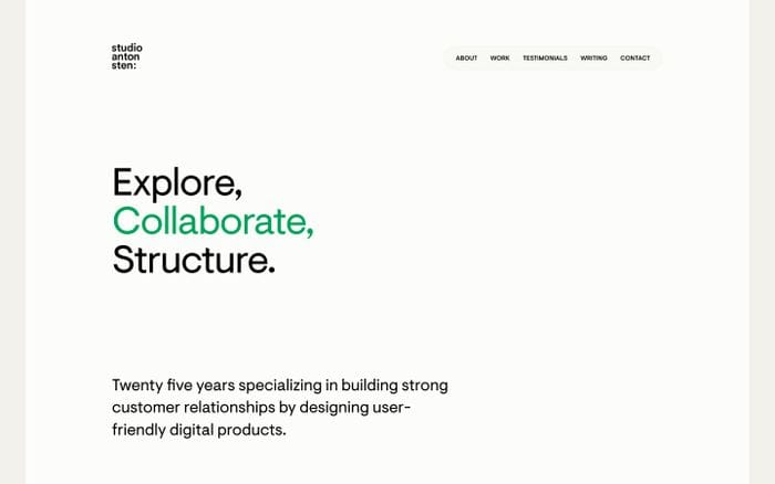 Anton Sten website preview