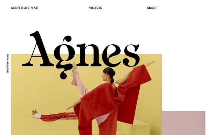 Agneslloydplatt website preview