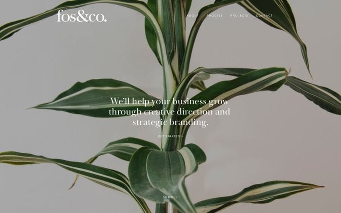 Fos & Co. website preview