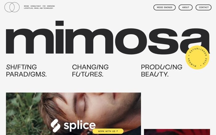 Mimosa website preview