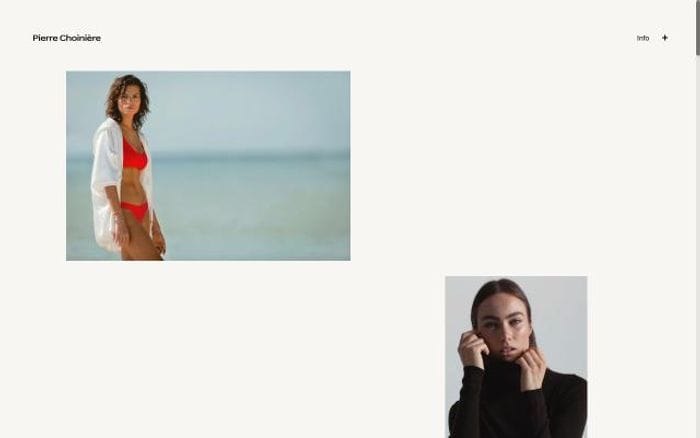 Pierrechoiniere website preview