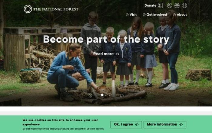 Nationalforest website preview