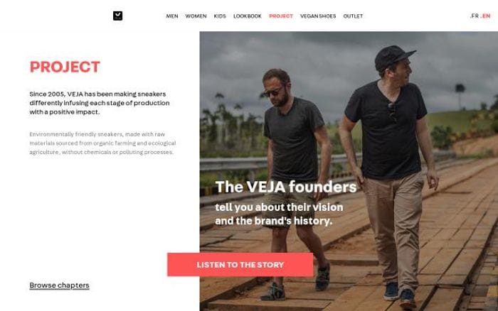 Project website preview