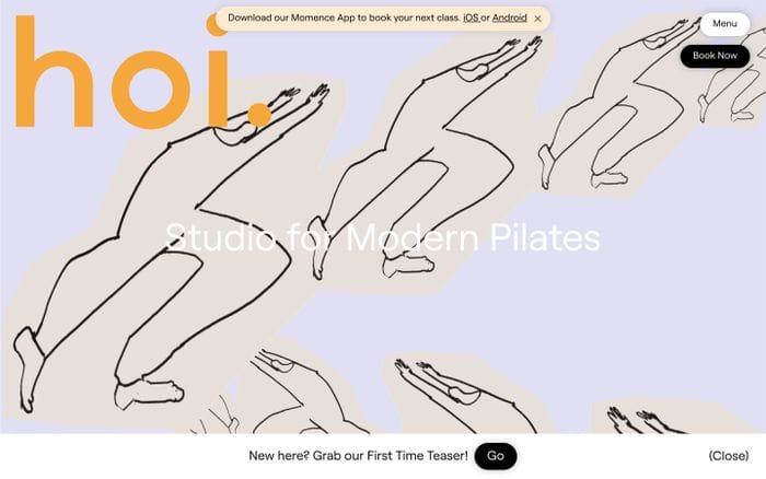 Hoi studio website preview
