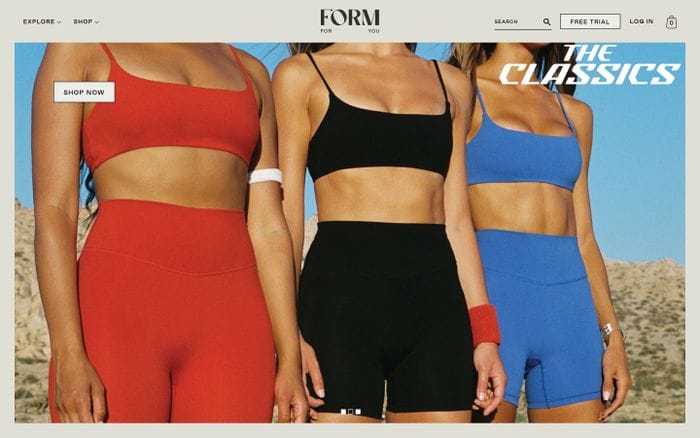 Form website preview