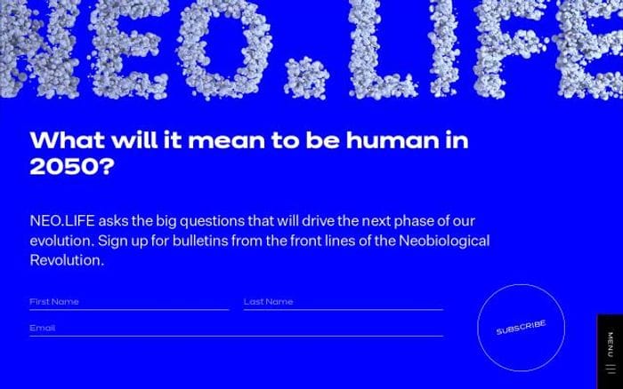 Neo website preview