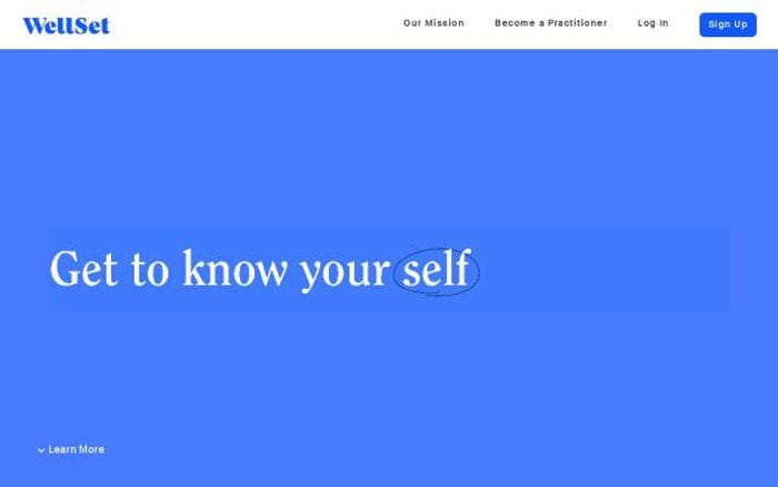 Wellset website preview