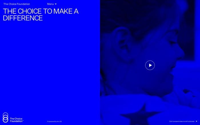 The Choice Foundation website preview