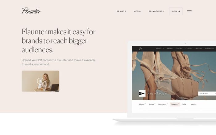 Flaunter website preview