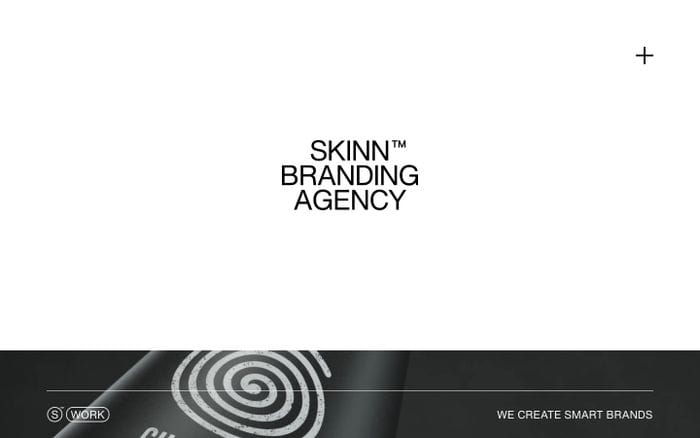Skinn website preview