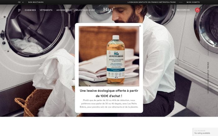 Hast website preview