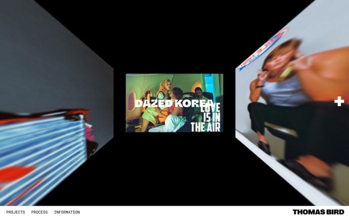 Thomas Bird website preview