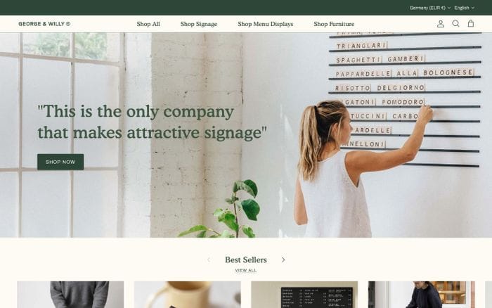 George and Willy website preview