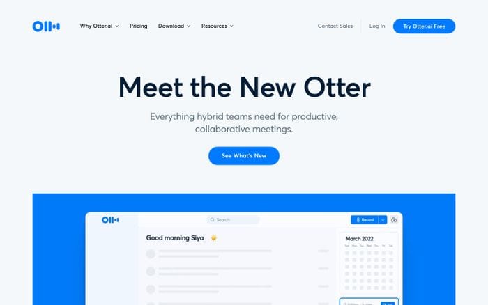 Otter.ai website preview