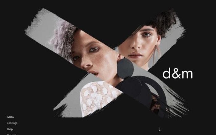 Dandm website preview