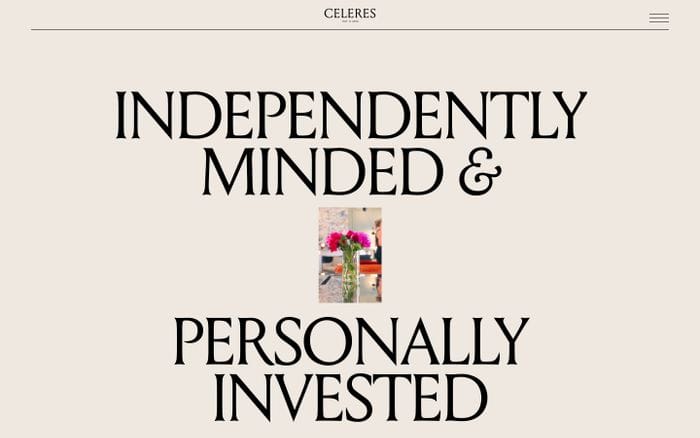 Celeres website preview