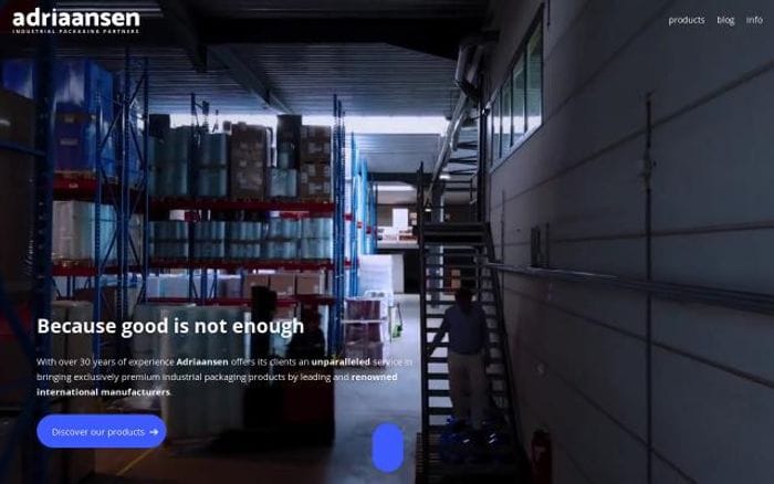 Adriaansen website preview